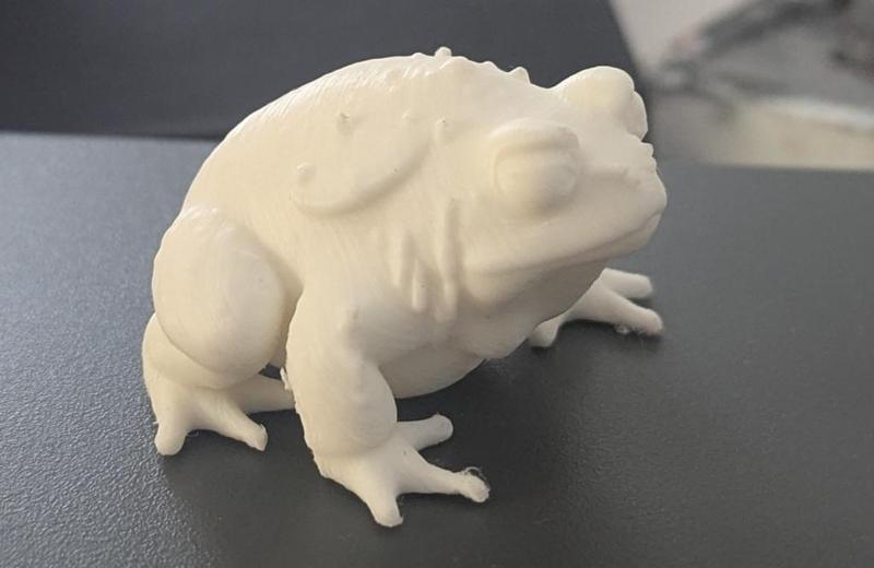 Giant Toad Collection (DND/TTRPG)