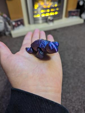 Cute Flexi Turtle