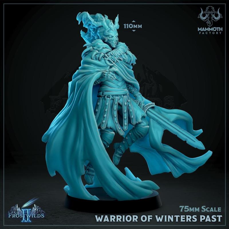 Warrior of Winters Past - 75mm Display Scale