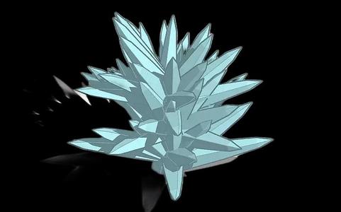 Plant for an aquarium