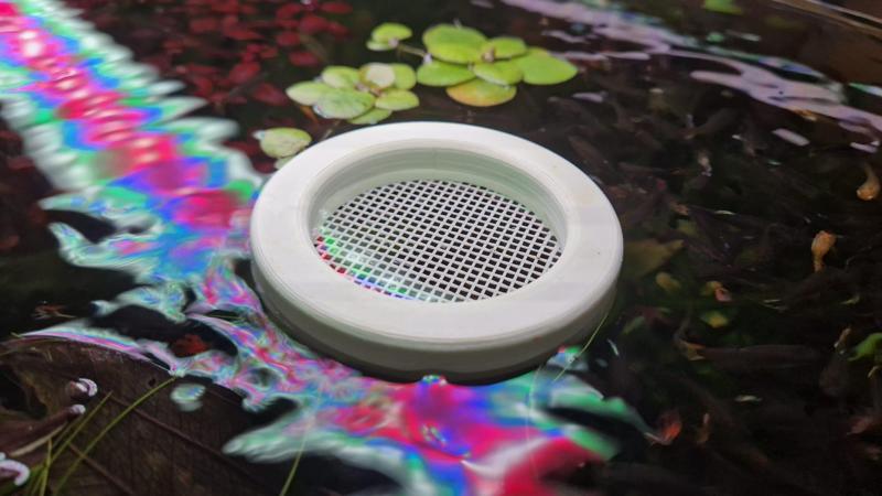 Floating feeder for tubifex worms