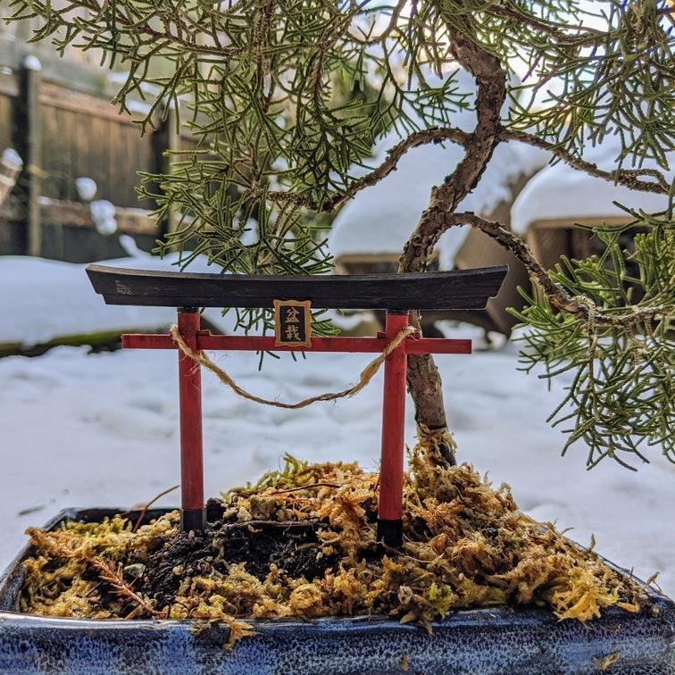 Inari Torii Bonsai gate