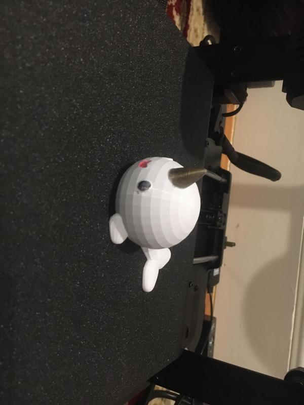 Cute Narwhal