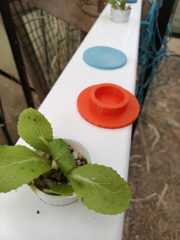 Hydroponics Empty Hole Plug (Small)