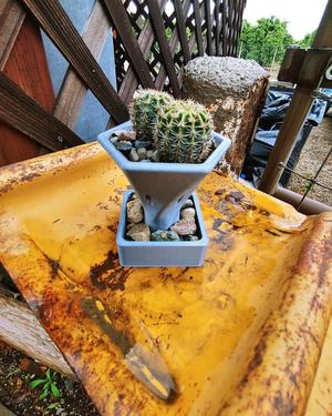 Hexagon Plant Vase