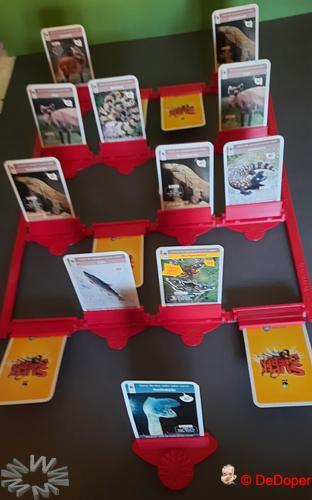 The 5 Ws Who What Where When Why