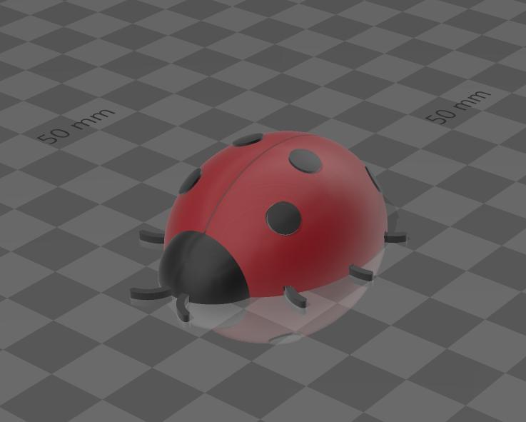 ladybug