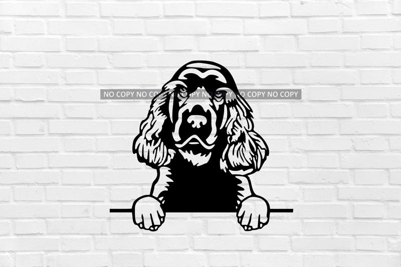 wall decoration Sussex Spaniel dog