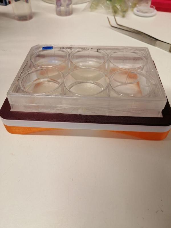 Multi-well plate riser