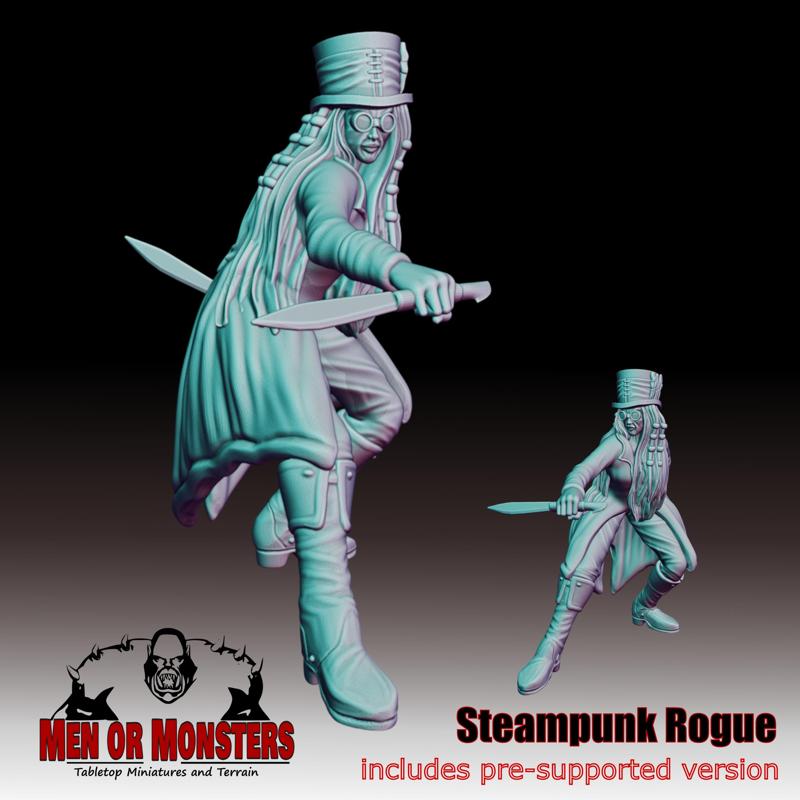 Steampunk Female Rogue - Fighter