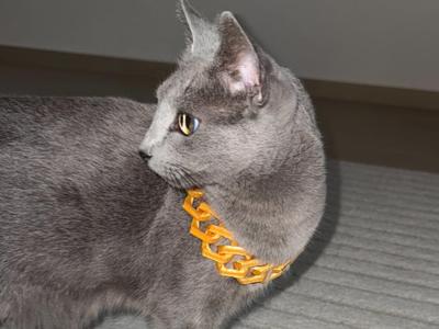 Necklace for Cat