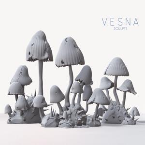 FUNGI FOREST №1