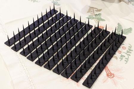 Simple bird spikes