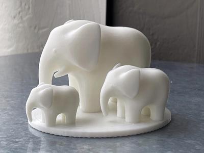 Elephant family