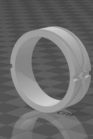 Ring + castable model