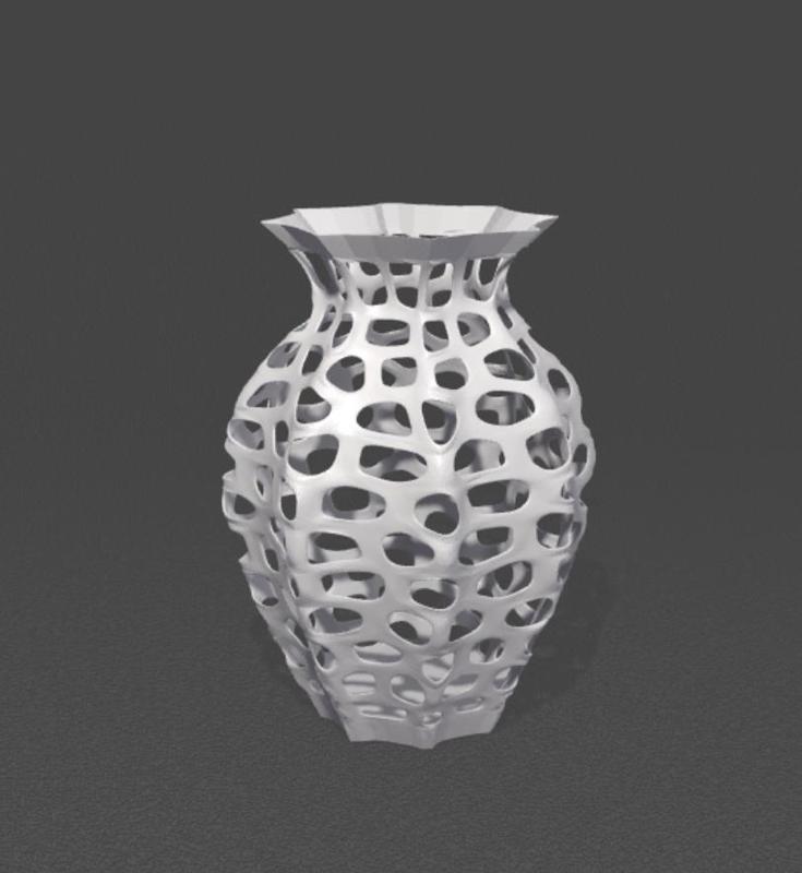 Vase for Dried Flowers Only