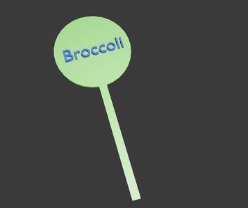 Broccoli