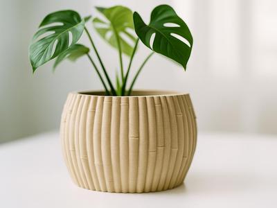 Bamboo Planter - Botany Chic - Home Decor