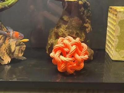Woven Ball Aquarium Fish and Shrimp Hideaway