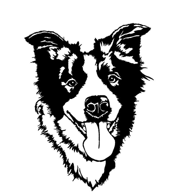"Bala" the Border Collie wallart