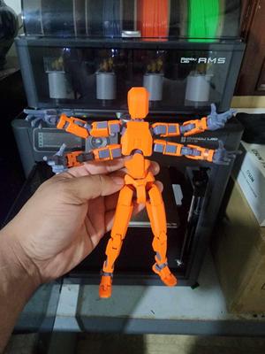 Dummy 13 four arm frame chest