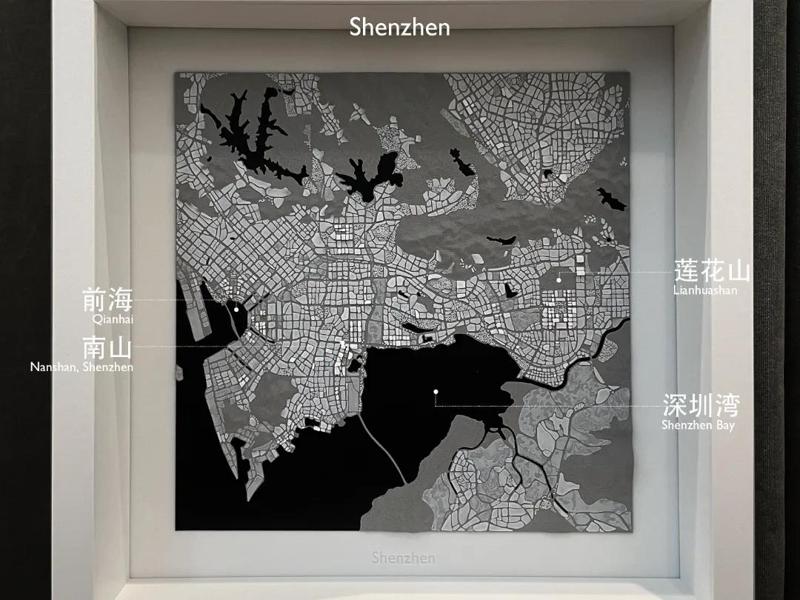 Shenzhen City Texture 1/125K