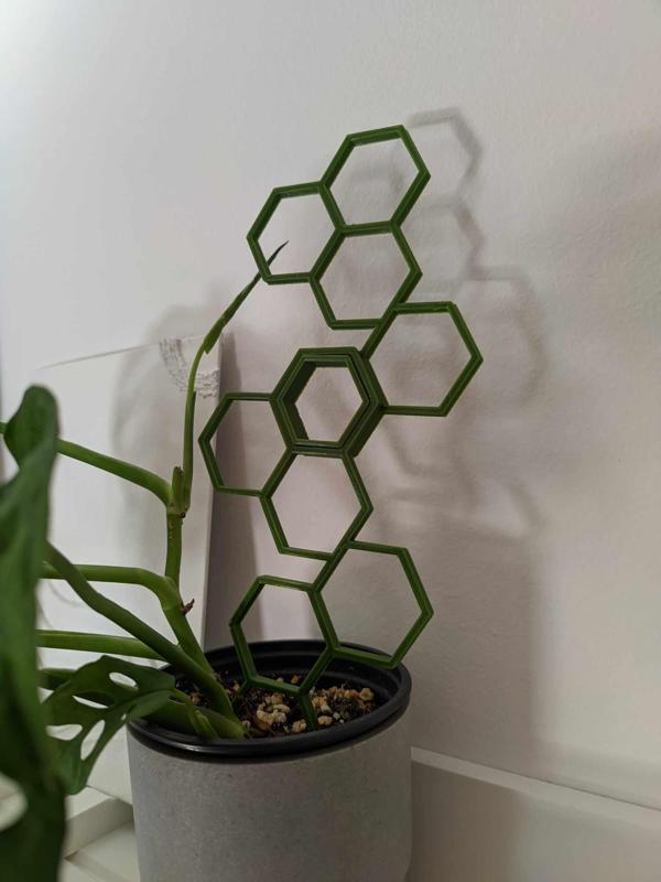 Plant Support extension