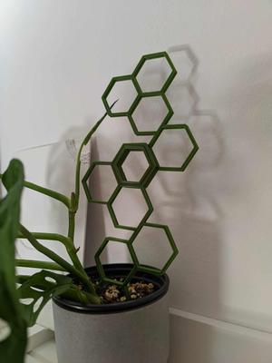 Plant Support extension