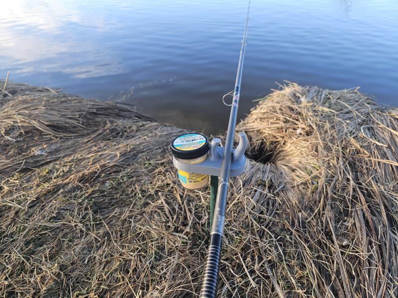 Fishing pole and bait  holder