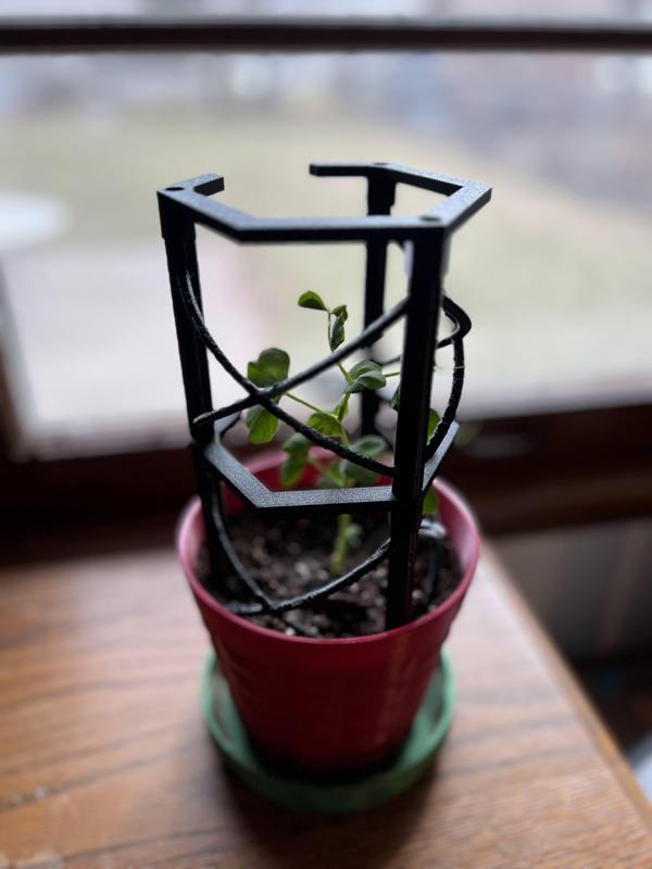 Open Cage Stackable Plant Support Stakes - With Added Climbing Supports