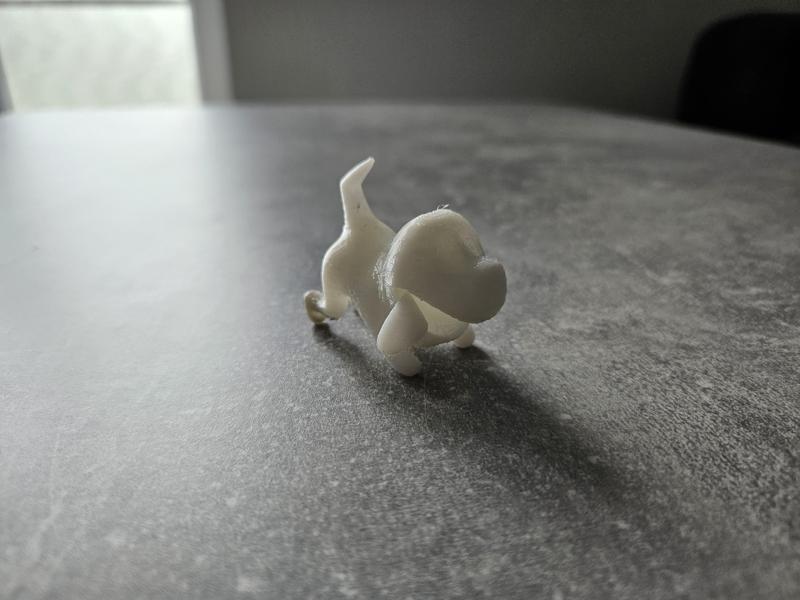 Polterpinscher (Polterpub)