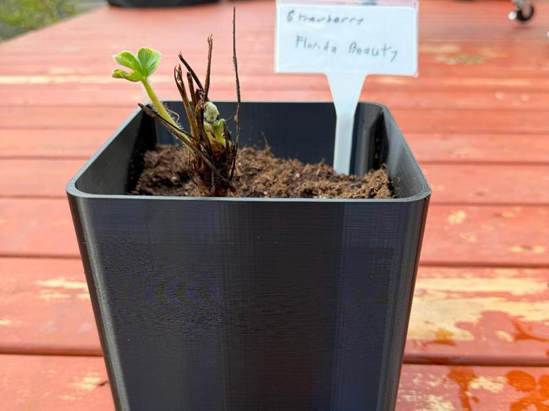 150mm/~6 inch wicking pot with fill meter