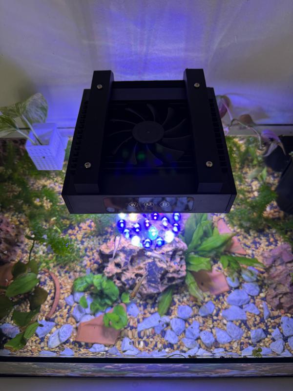 Nicrew HyperReef Aquarium Light Mount (Rimless)