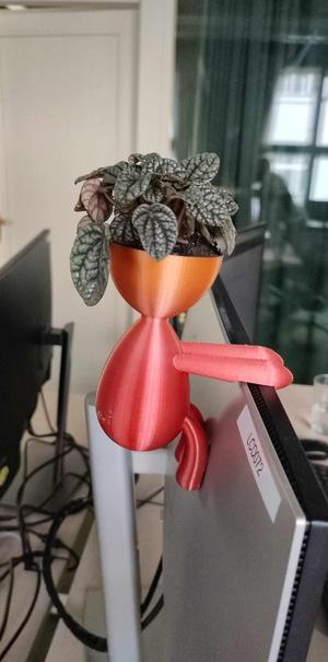 Climbing figure head planter