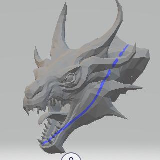 head dragon