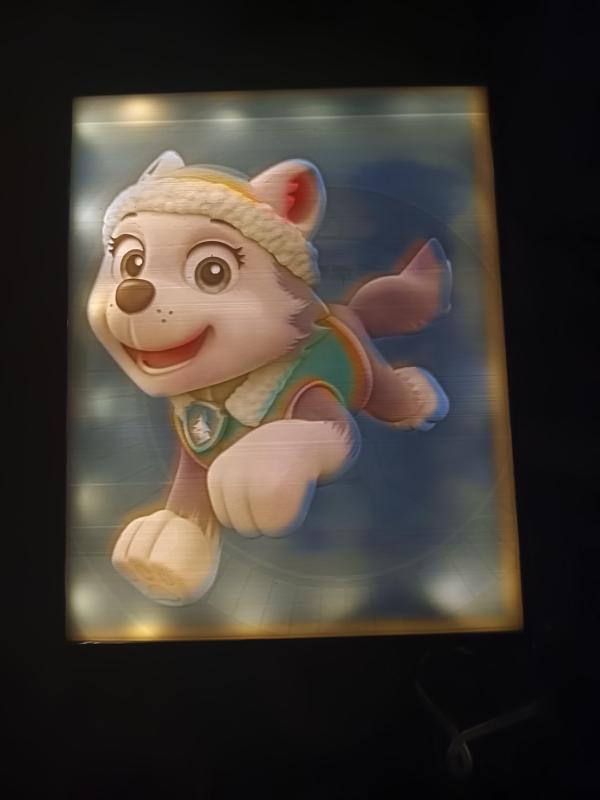 LITHO COLOR patrol Evrest