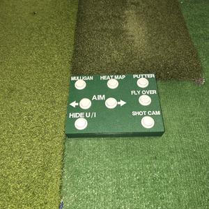 Golf Simulator Control BOX FOR GSPRO (SMALLER VERSION)