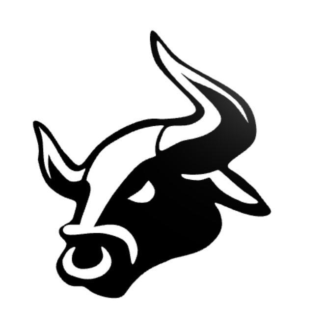 Bull wall decor
