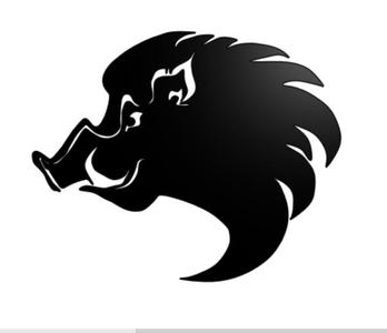 Wild boar wall decor