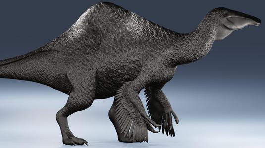 Deinocheirus