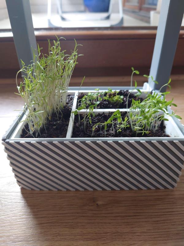 self-watering flower pot