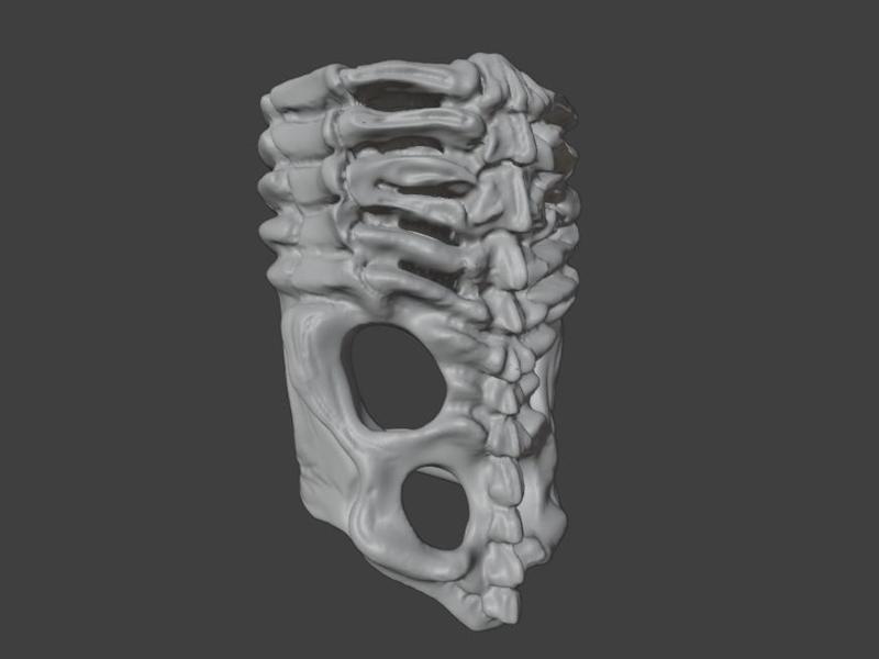 Papa V Perpetua Bolo Tie Ribcage Slip