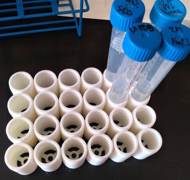 15 ml conical tube rack - 24 well plate layout