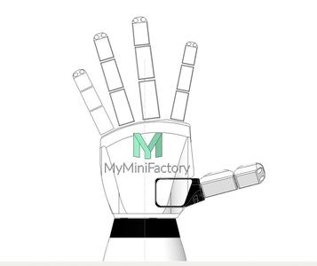 Humanoid Robotic Hand