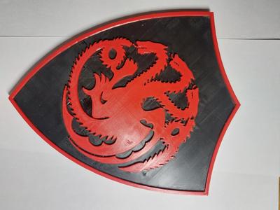 Targarian Shield