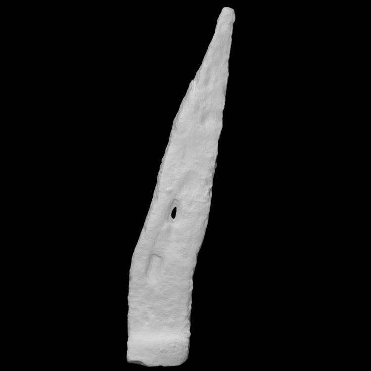 Spike From Horseshoe