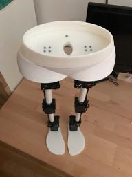 Walbi, the walking biped robot
