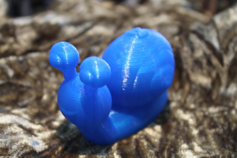 Snail (Nikoss'Insects)