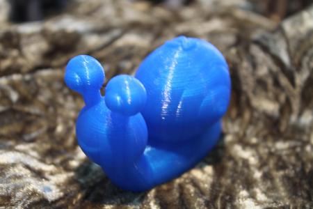 Snail (Nikoss'Insects)