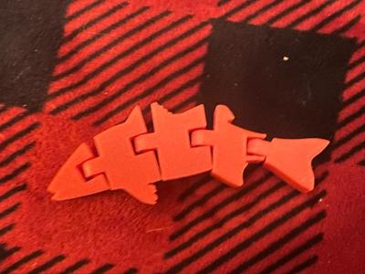 Fish Flexi